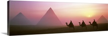 Giza Pyramids Egypt