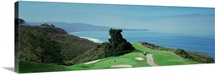 Golf course at the coast Torrey Pines Golf Course San Diego California