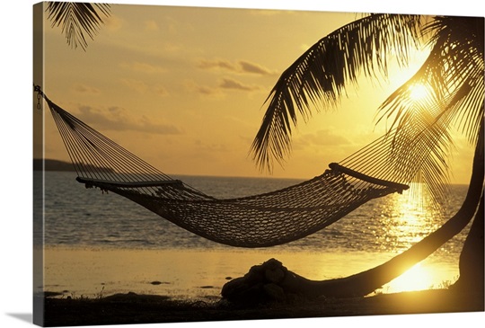 Hammock at Sunset