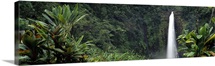 Hawaii, Akaka Falls State Park