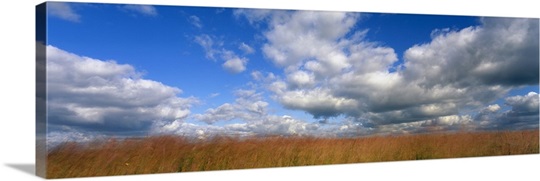 Hayden Prairie IA