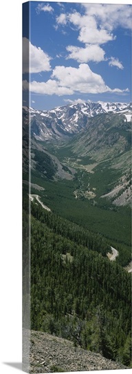 High angle view of a highway through a forest, Beartooth Highway, Beartooth Mountains, Montana