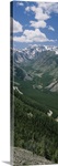 High angle view of a highway through a forest, Beartooth Highway, Beartooth Mountains, Montana