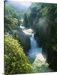 High angle view of a waterfall in a forest, Mexico