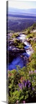 High angle view of a waterfall, Ribbon Falls, Yosemite National Park, California
