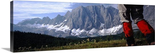 Hiker walking in a meadow, Floe Lake, Glacier National Park, British Columbia, Canada