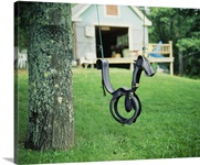 Horse Swing Nova Scotia Canada