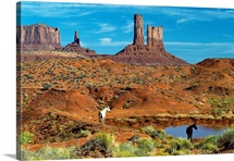 Horses near a Water Hole