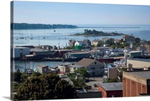 Houses in a town at a harbor, Gloucester, Cape Ann, Massachusetts