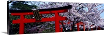Japan, Kyoto, Takenaka Inari Shrine
