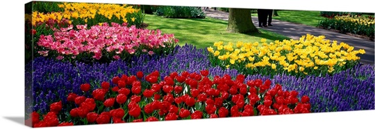 Keukenhof Garden Lisse The Netherlands