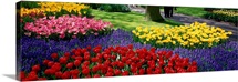 Keukenhof Garden Lisse The Netherlands