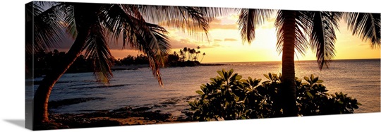 Kohala Coast Hawaii HI