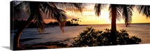 Kohala Coast Hawaii HI