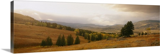 Lamar Valley Yellowstone National Park WY
