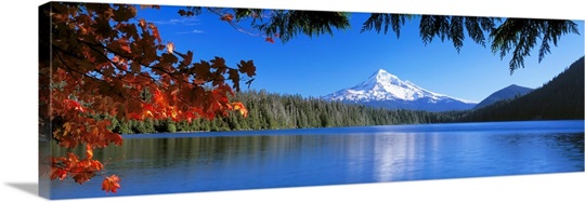Lost Lake Mt Hood National Forest OR