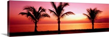 Miami Beach FL