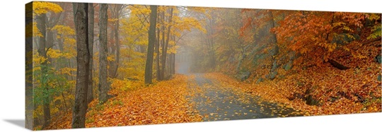Monadnock Mountain Road NH