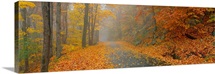 Monadnock Mountain Road NH