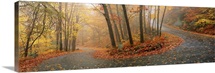 Monadnock Mountain Road NH
