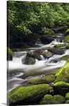 Moss-covered boulders and small cascades along Roaring Fork, Little Pigeon River, Great Smoky Mountains National Park, Tennessee