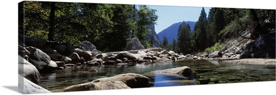 Mountain behind pine trees, Tenaya Creek, Yosemite National Park, California