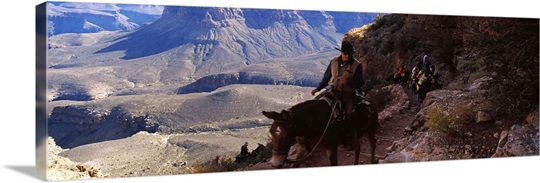 Mule riders and hikers on the trail, South Kaibab Trail, Grand Canyon National Park, Arizona,