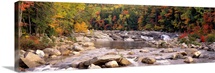 New Hampshire, White Mountains National Forest, River flowing through the wilderness