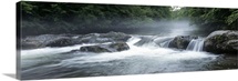 North Carolina, Tennessee, Great Smoky Mountains National Park, Little Pigeon River, River flowing through a forest