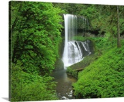 Oregon, Silver Falls State Park, Waterfall in the tropical rainforest