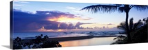 Palm tree on the beach, Wailua Bay, Kauai, Hawaii