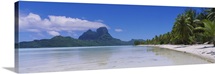 Palm trees on the beach, Bora Bora, French Polynesia