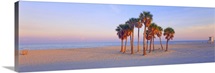 Palm trees on the beach, Florida