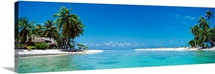 Palm trees on the beach, Tikehau, French Polynesia