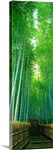 Path Through Bamboo Forest Kyoto Japan