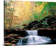 Pennsylvania, Benton, Ricketts Glen State Park, Waterfalls at Glen Natural Area