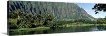 Pond in a garden, Hoomaluhia Botanical Garden, Kaneohe, Oahu, Hawaii