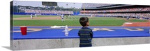 Rear view of a boy watching a baseball match, Dodgers vs. Yankees, Dodger Stadium, City of Los Angeles, California