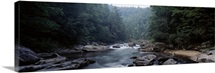 River flowing through a forest, Chattooga River, Georgia near South Carolina