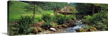 River flowing through forest, Black Forest, Glottertal, Germany