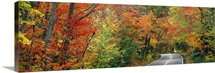 Road passing through a forest, U.S. Route 41, Keweenaw County, Keweenaw Peninsula, Michigan