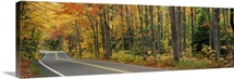 Road passing through a forest, U.S. Route 41, Keweenaw County, Keweenaw Peninsula, Michigan