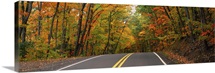 Road passing through a forest, U.S. Route 41, Keweenaw County, Keweenaw Peninsula, Michigan