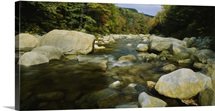 Rocks in a river, Swift River, White Mountains, New Hampshire, New England