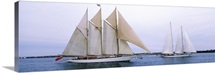 Sailboats in the sea, Narragansett Bay, Newport, Newport County, Rhode Island