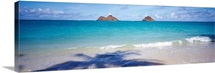 Shadow of a tree on the beach, Lanikai Beach, Oahu, Hawaii