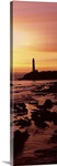 Silhouette of a lighthouse at sunset, Pigeon Point Lighthouse, San Mateo County, California,