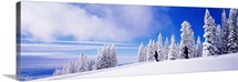 Skiers Rocky Mountains Steamboat Springs CO