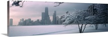 Snow covered tree on the beach with a city in the background, North Avenue Beach, Chicago, Illinois
