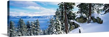 Snow covered trees on mountainside, Lake Tahoe, Nevada